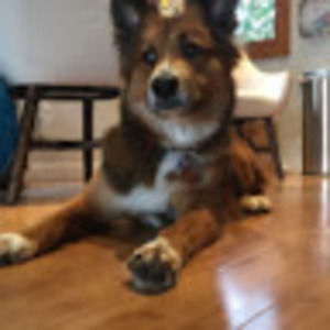 Meet your Posher, Kane